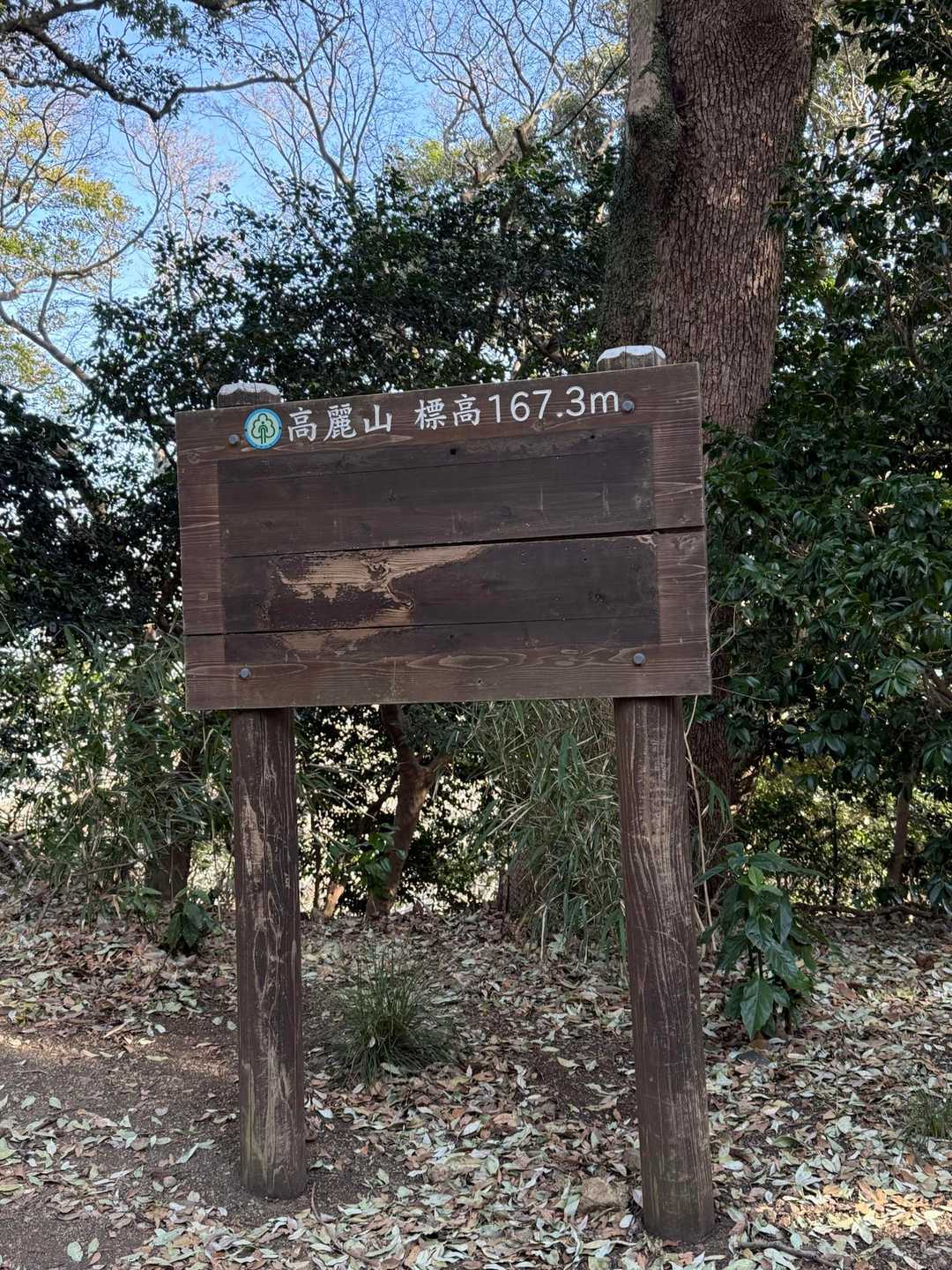 高麗山（大堂）もあっという間に到着⛰️アップダウンも結構あるので身体も暖かくなってきてここで１枚上着を脱ぎました😁