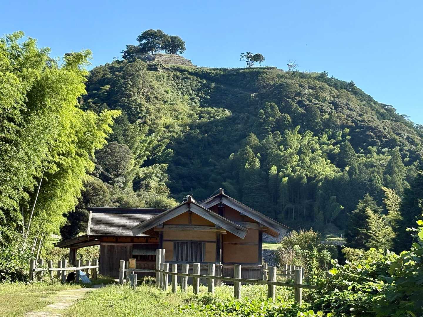 食後は月山に登りますか😊