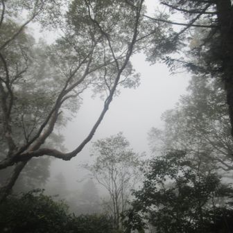 ただし、自分が天気図を読む限りは雨も十分あり得る。よって下山を決断。これは翌朝。雨は上がっていたがガスガス。