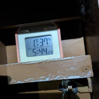 ハムは鍋割🐹 1℃湿度37％
手先足先冷たいけれど(そこはもう冷え性入ってる)そーんなんでもない温度🌡️