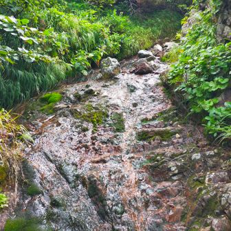 上の方に来たら、水量が減っています。