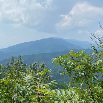 葛城山方面も