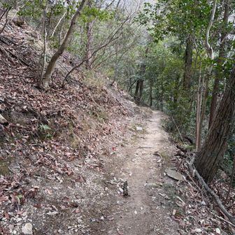 登山道
よく整備されてます