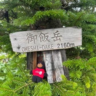 御飯岳着🙌

山頂手前、サロメさんがナイスパンチ！と言っていたような記憶がありますが、その通りだった〜。