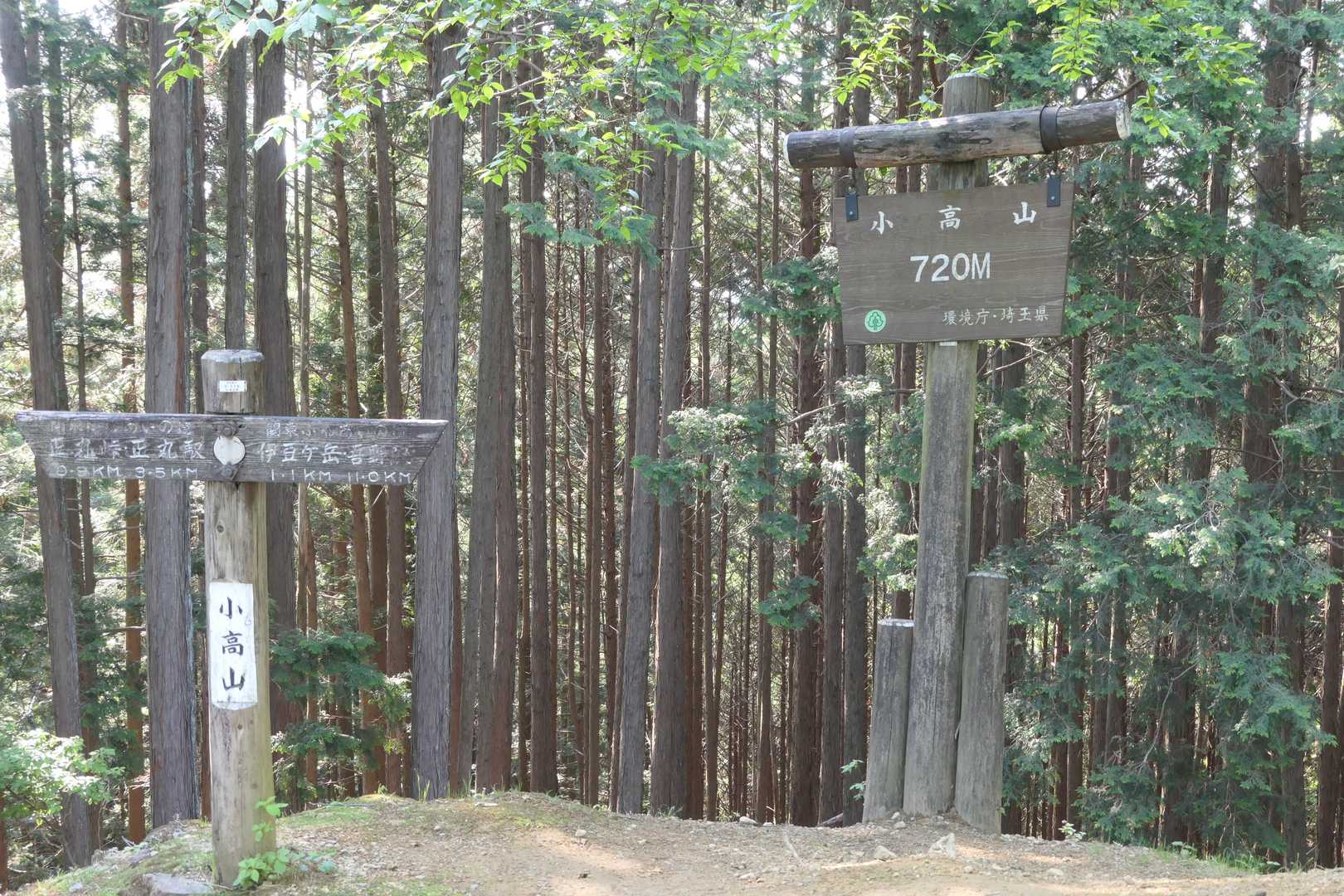 小高山に到着