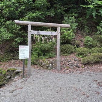 鳥居をくぐってスタート