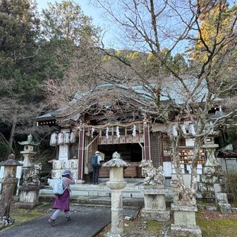 若山神社⛩️
春には桜が綺麗だろうなぁ〜🌸
