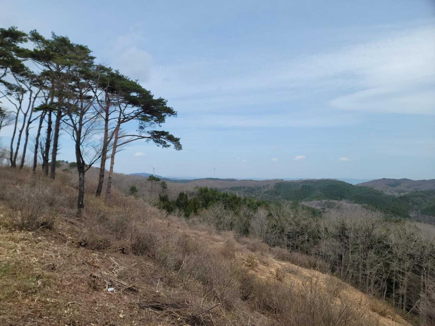 朝日山登山道西入口-朝日山 往復コースの写真