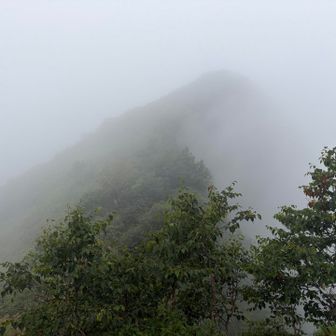 めっちゃ霧