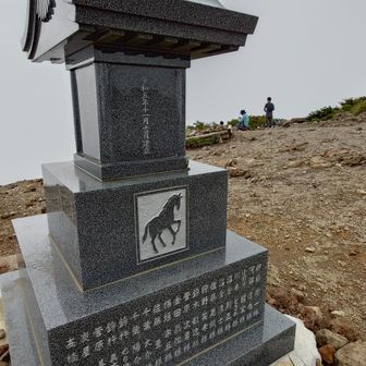 お馬さん。午年😊