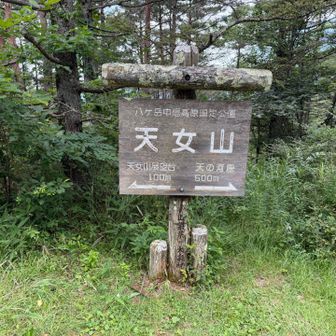 🅿️からすぐ。
ここやないやろ笑