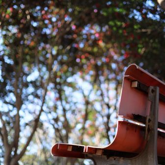 ピークをとって再び山茶花のトンネルでひと息