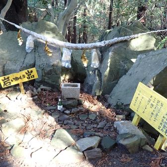 ピーク5番目、神社らしいので参拝します⛩️