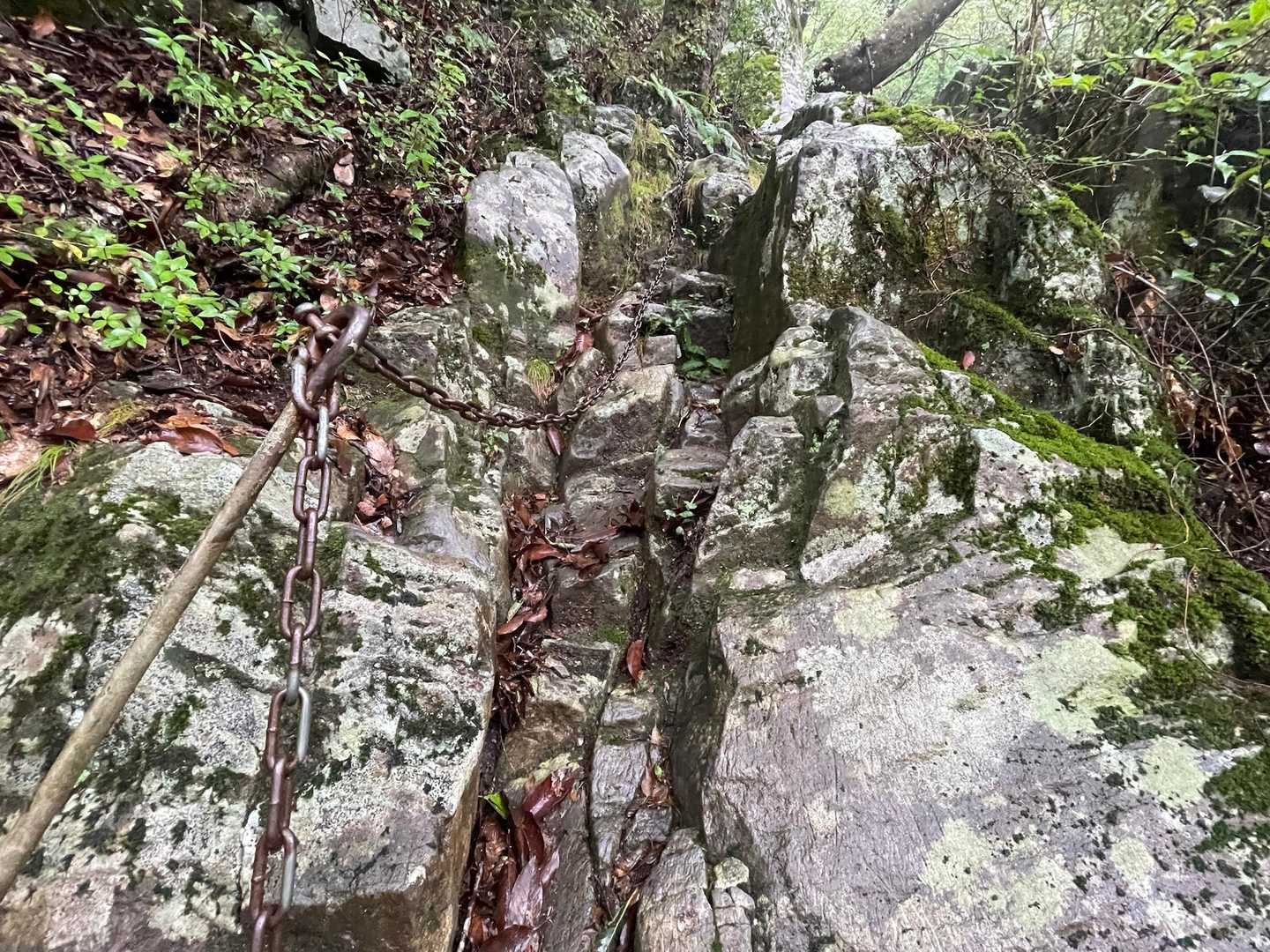 この辺りから
結構岩登りがあります。
