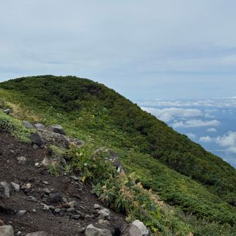 天空感が強いです

9合目で多くの方とお話ししました