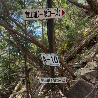 一般コースと合理地点