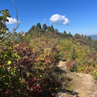 大城からの帰りに山頂を見る。