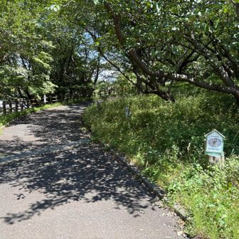 公園ぽくなったら