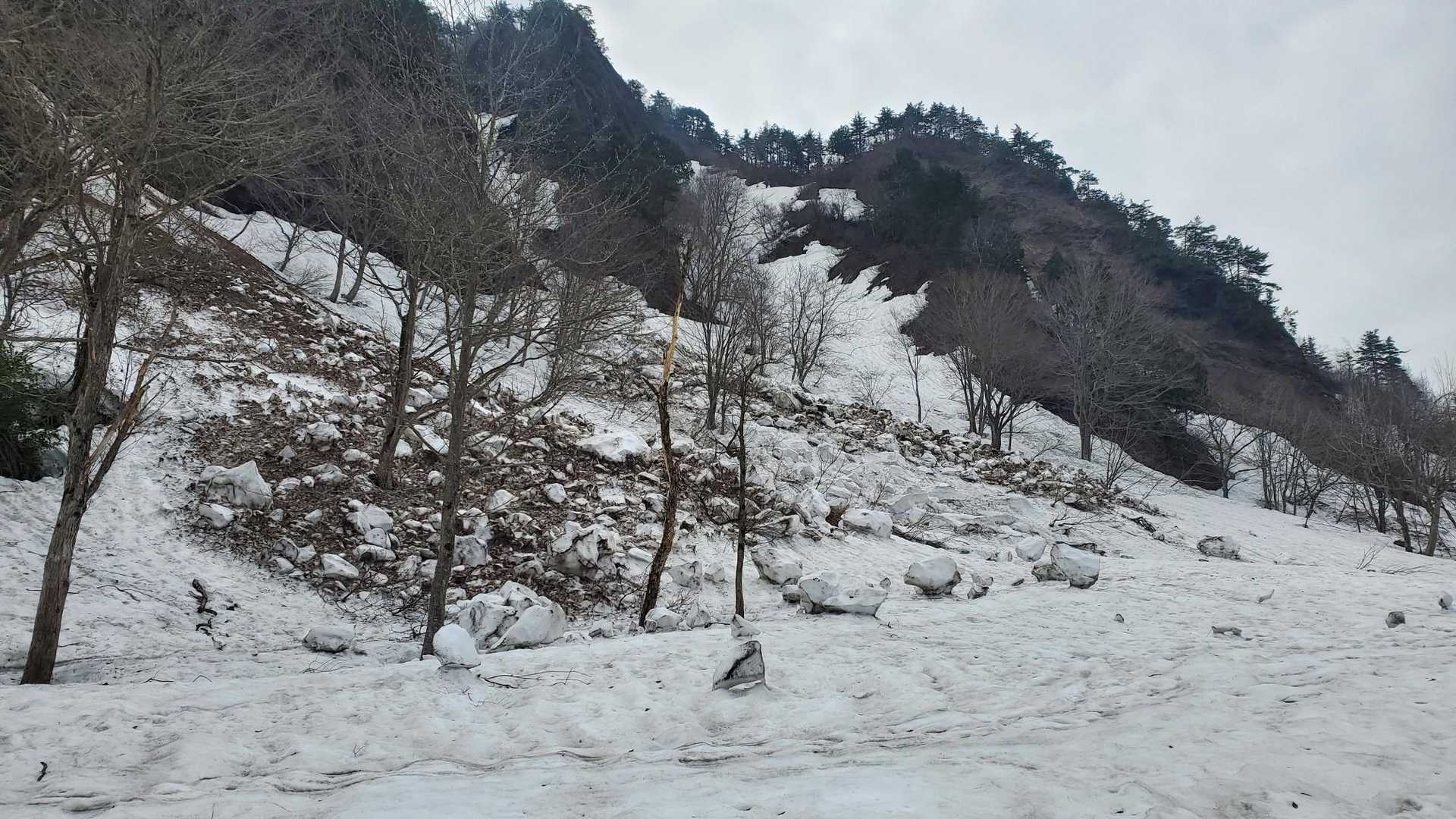 雪崩跡も多数