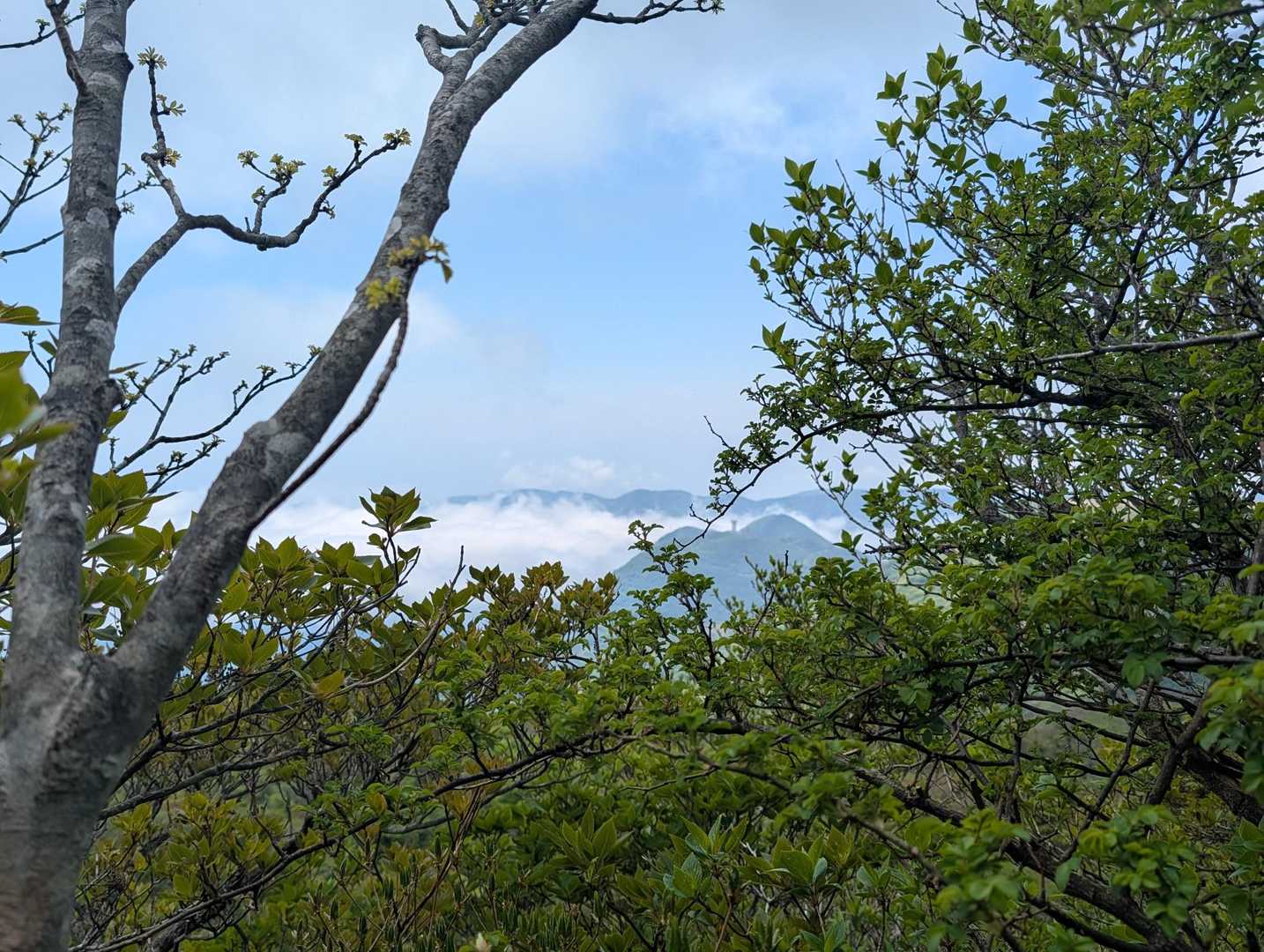 神山山頂は木々に囲まれていましたが、少し背伸びして駒ケ岳方向を撮りました📸