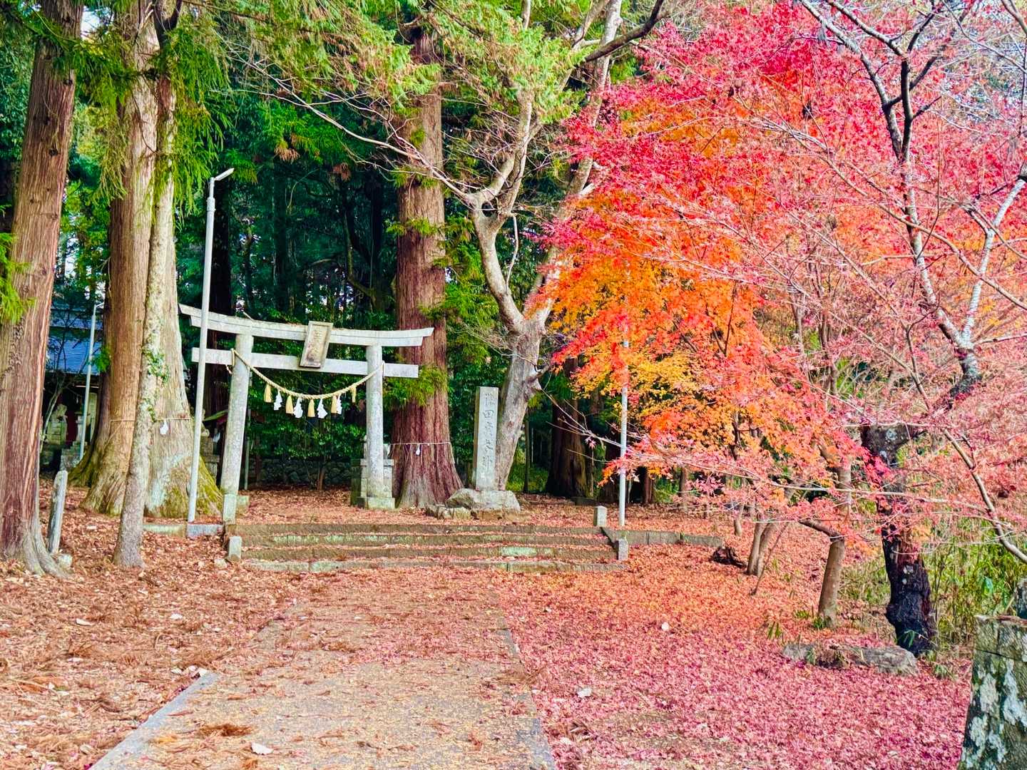 一床山 周回コースの写真