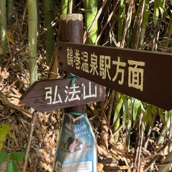 このコースのいいところは、駅から徒歩で
すぐにアクセス出来ること。
ダメなところは、暖かくなるとヒルが
すごいところ。
いつもは秦野から行くのですが、今日は
鶴巻温泉から登ってみます。