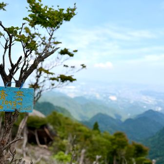 とかなんとか
登山道の雰囲気とか
地質？とか
江田島の島山とか
どこそこに似てるとか…

遠くまで来てもそんなお話🤣