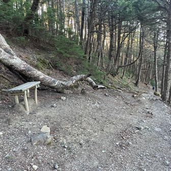 鳳凰山・地蔵岳・観音岳・薬師岳 杖立峠の下の唯一のベンチ🎶