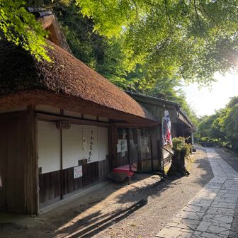 藁葺き屋根のとがの木茶屋
ここを少し降って