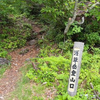 登りはここから