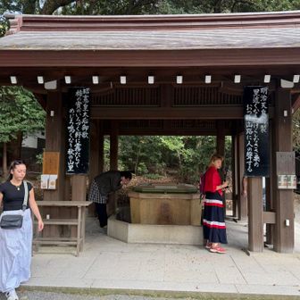 見たかった清正の井を 検索したら 

経路は手水舎対面辺りからになってるのに

立入禁止で進めない