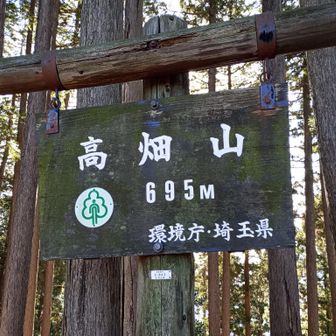 高畑山