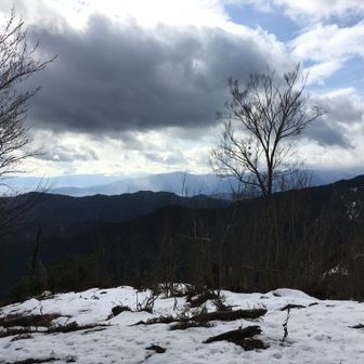 陽が無く寒々としていた。