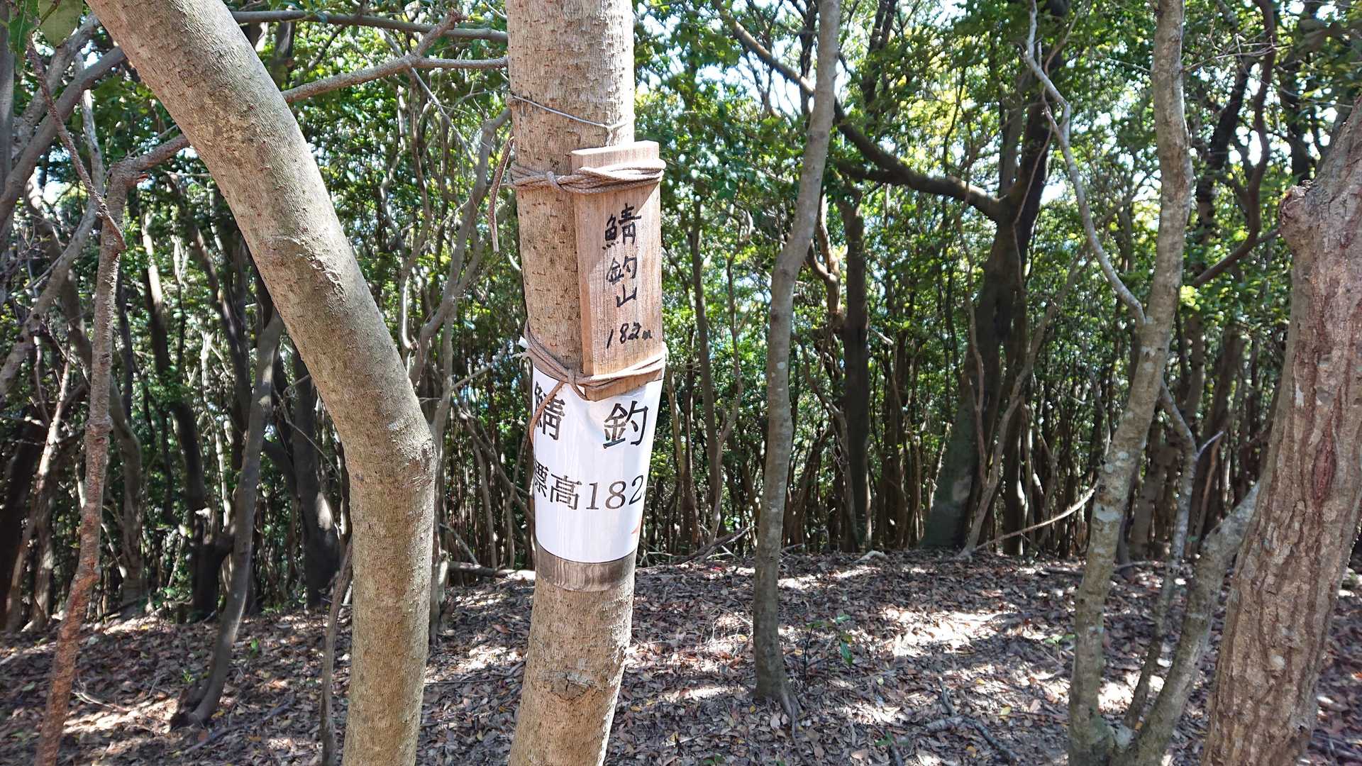 錆釣山の写真