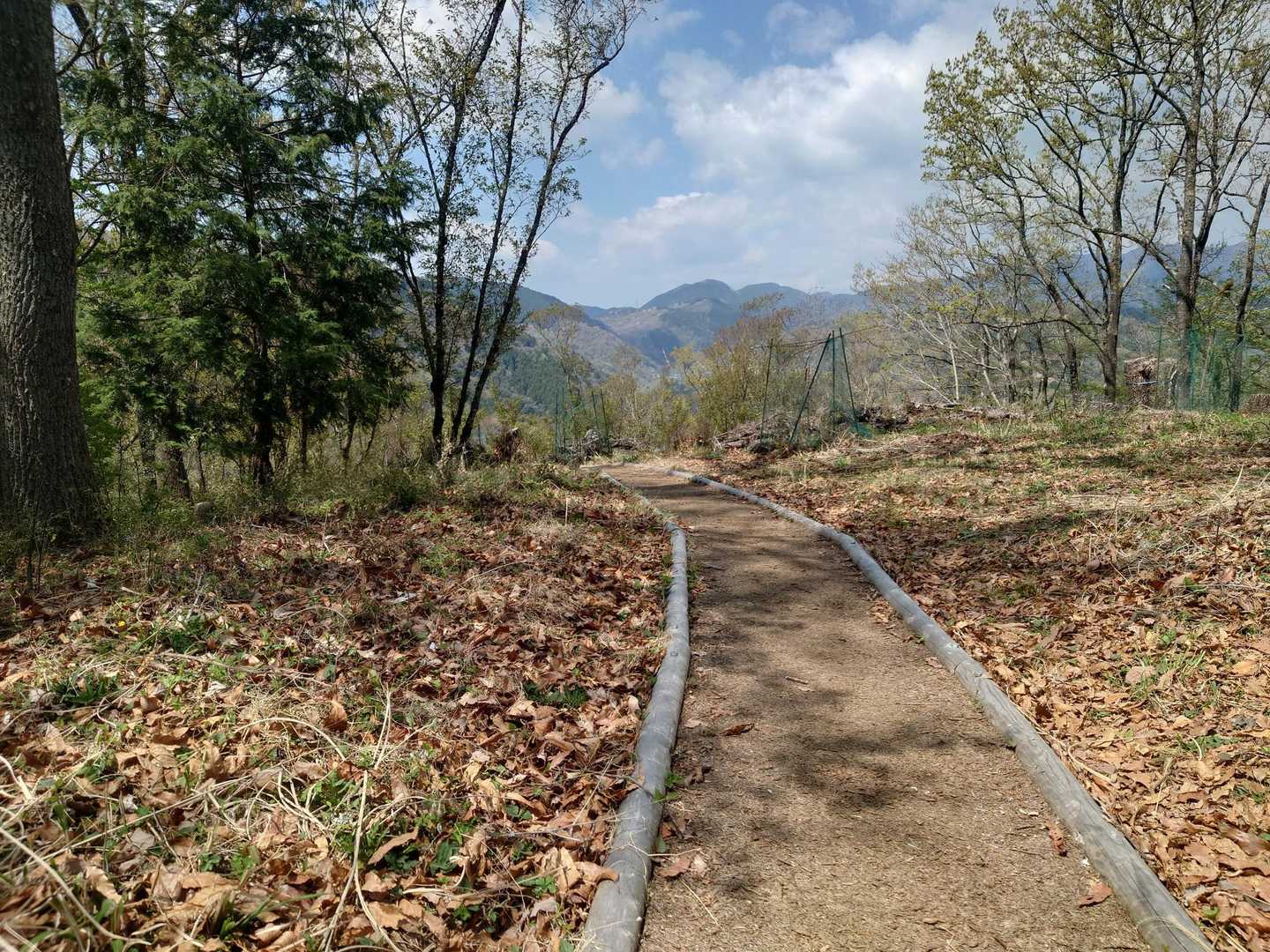 昔は暗くて陰気であまり好きな山ではなかったが、こうして整備されて気持ち良い山に生まれ変わった。
このコルクの道のおかげでヤマビルが少し減ったと思う。