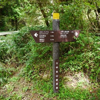 1.2ｋｍで最高峰