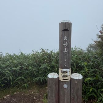 山頂着いた。
潔く真っ白。