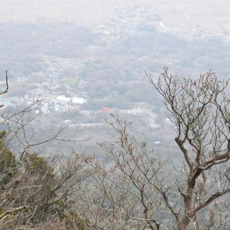 中央に小さく、今朝見た鳥居が。