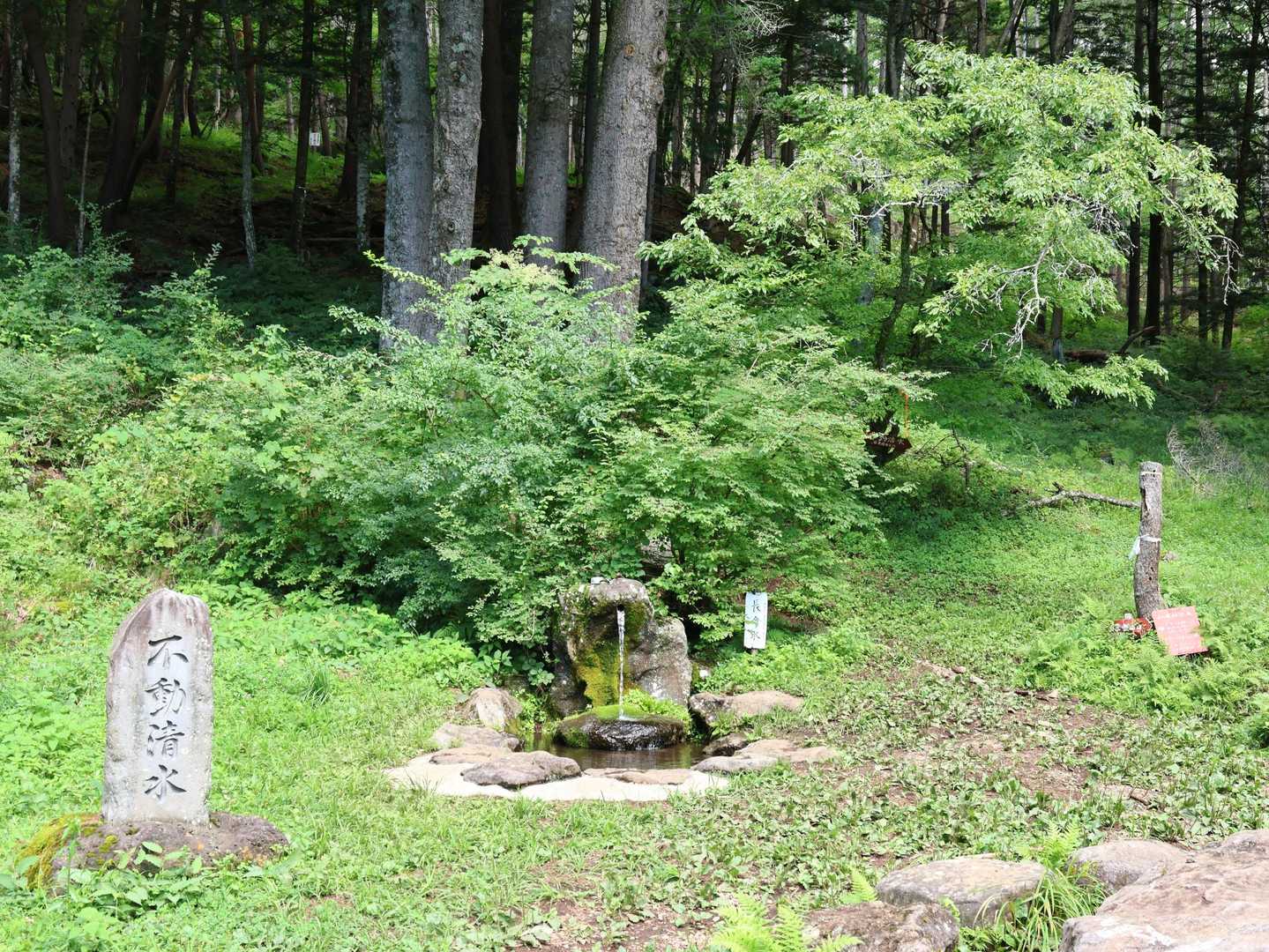 中央と右の木の間の道を下りてきました。
かなり広い広場になっている。