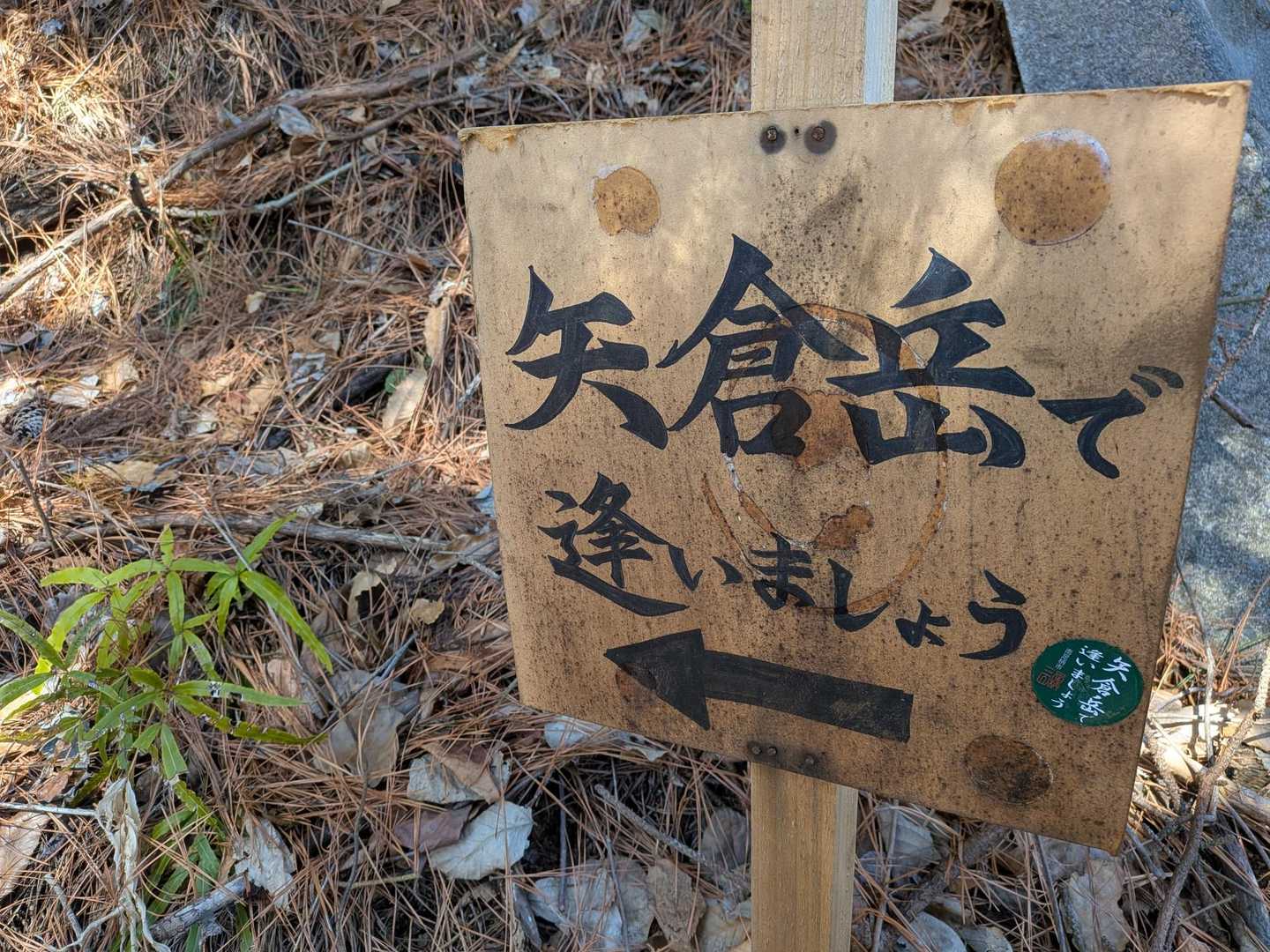 お逢いして来ました💞