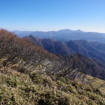 南東方向を眺めて