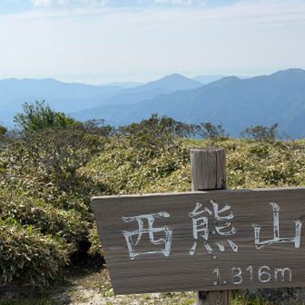 バックに寒峰と中津山と瀬戸内海