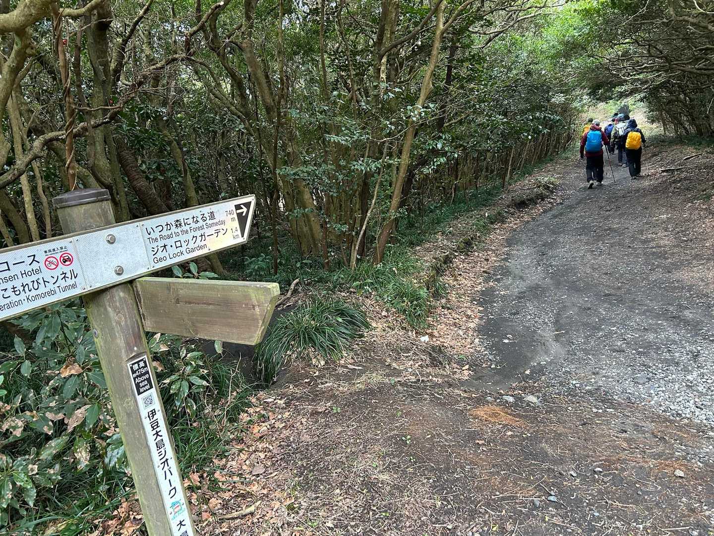 いつか森になる道　
なんて素敵💓なネーミング