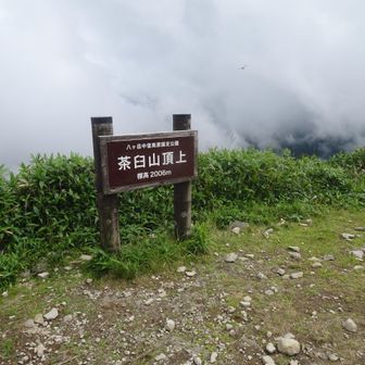 茶臼山山頂