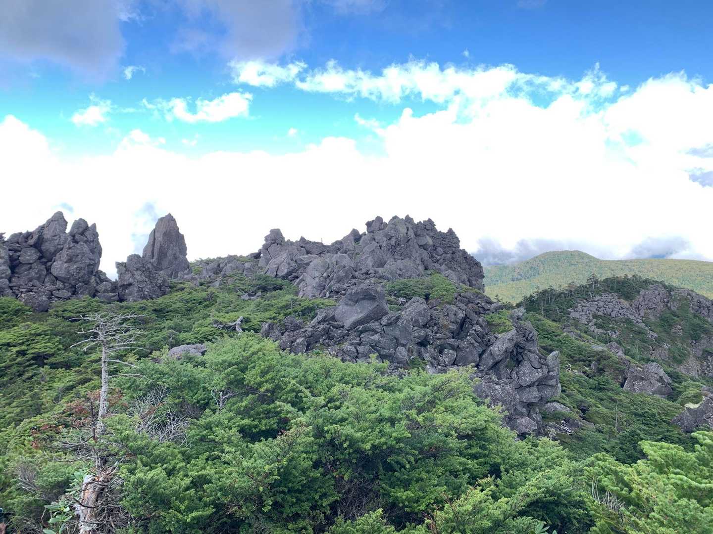 八ヶ岳ロープウェイ山頂駅-第一休憩所-第二休憩所-三ツ岳Ⅲ 周回コースの写真