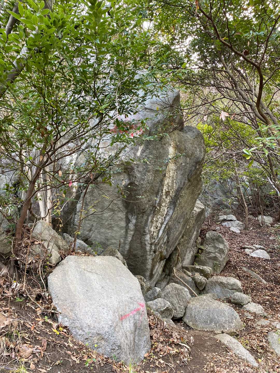 大岩を巻いて。