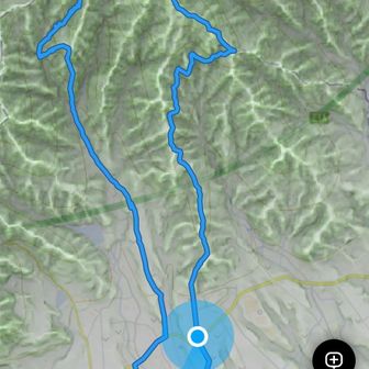 スタート地点に戻ってきました！
一筆書き完成です。
この画像を横にして、現在地の青い点を誤魔化し、イルカっぽく着色すると‥。