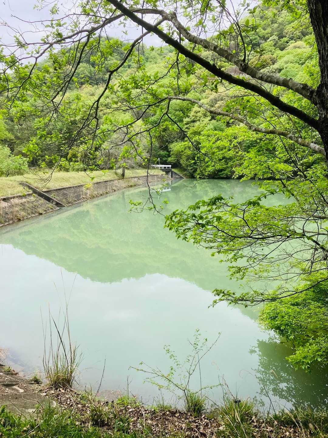 池に出ました