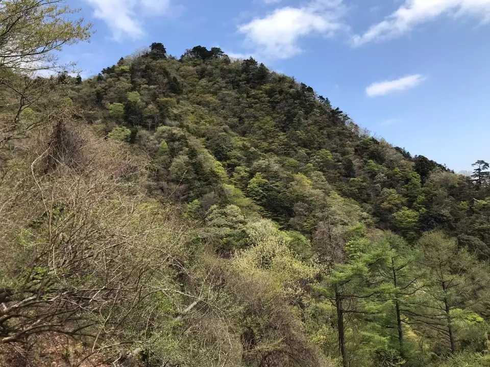 三峰山（大山三峰山）の写真