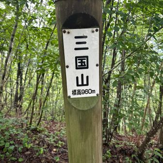 三国山到着、展望ガスで見えず